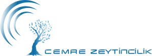 cemrelogo